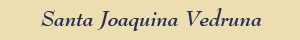 Santa Joaquina