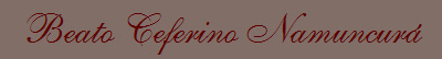 Beato Ceferino Namuncurá