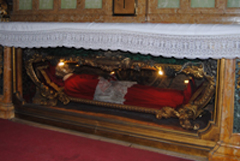 San Roberto Belarmino